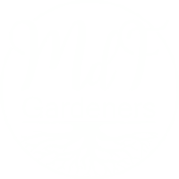 Ontwerp zonder titel - 2025-05-26T204538.718 Ontwerp zonder titel - 2025-05-26T204538.718