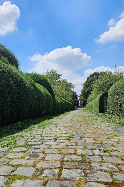 Zonder titel (400 x 600 px)
